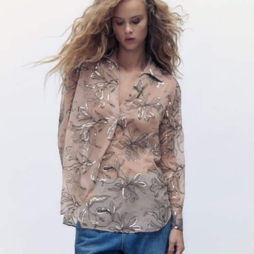 Zara Sheer Blush Floral Sequin Long-Sleeve Blouse